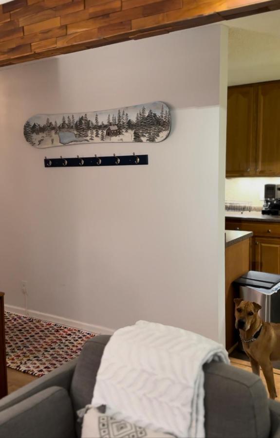 Beaver Creek 2 Bed 2 Bath Condo 1 Min Walk To Elk Lot 에이본 외부 사진